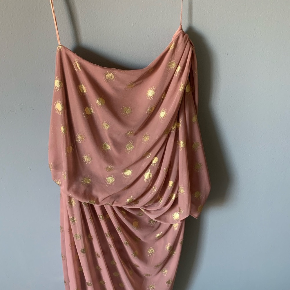 Pink and Gold Dress